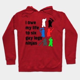 Six Gay Ninjas Hoodie